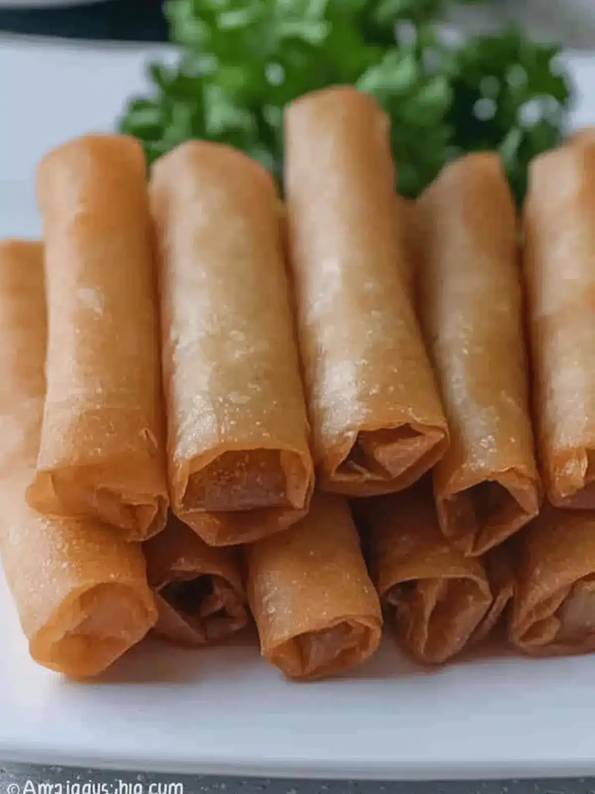 Lumpia