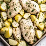 Greek Chicken Freezer Meal