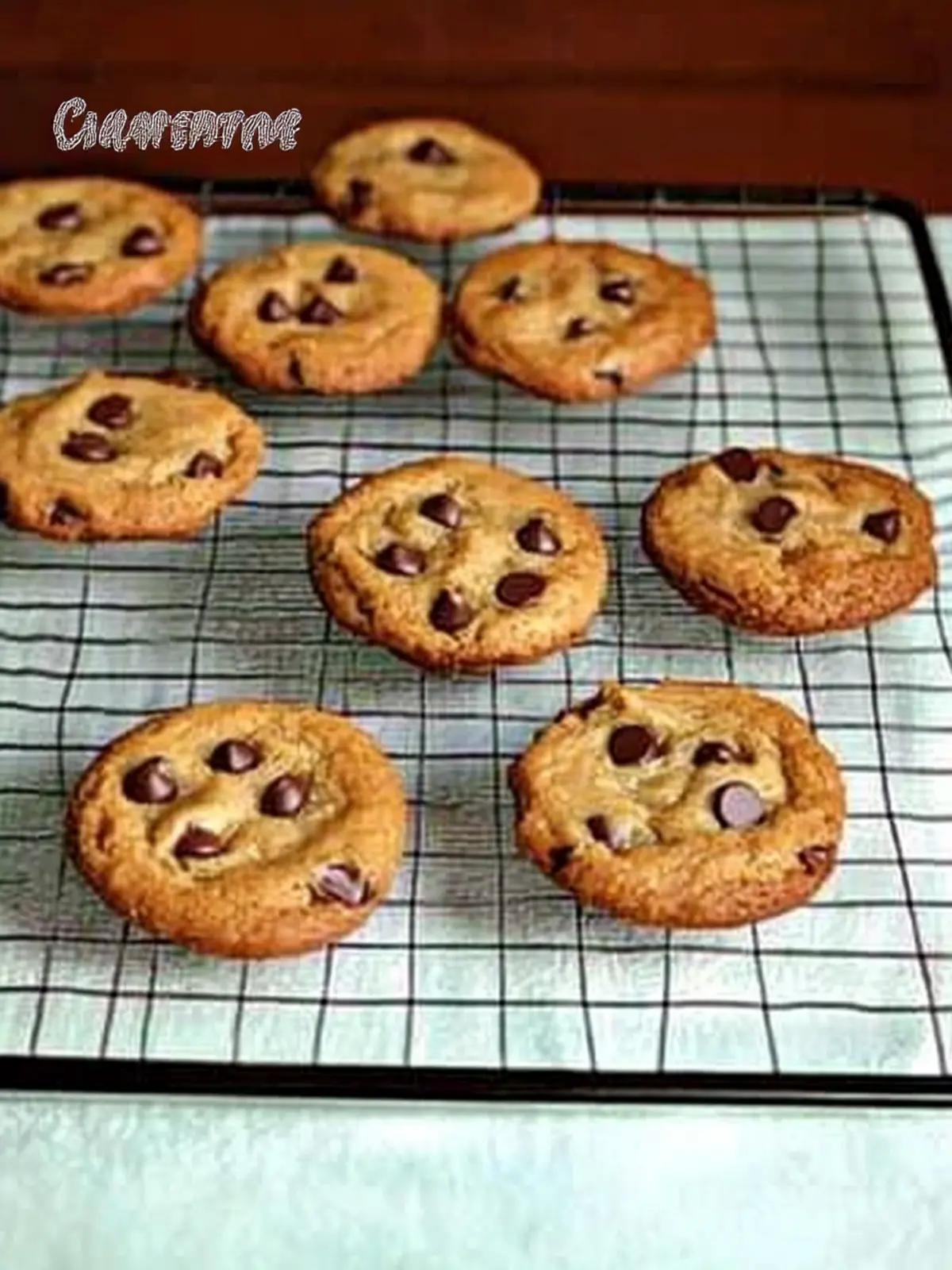 Ultimate Chocolate Chip Cookie Recipe for Warm Cozy Moments 3 Chocolate Chip Cookie Recipe