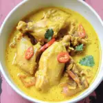 Indonesian Opor Ayam: Comforting Coconut Chicken Stew Recipe 5 Indonesian Opor Ayam (Coconut Chicken Stew)