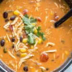 Creamy Crockpot Chicken Enchilada Soup for Cozy Nights 5 Crockpot Chicken Enchilada Soup