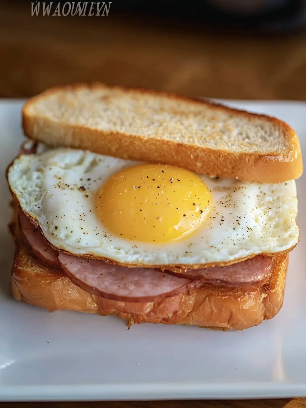 Spam and Egg Sandwich: Quick, Delicious & Totally Customizable 2 Spam and Egg Sandwich