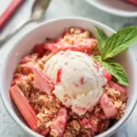 Creamy No Churn Rhubarb Ice Cream for Easy Warm Days 6 No Churn Rhubarb Ice Cream